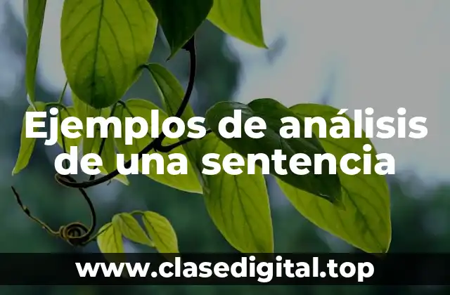 Ejemplos de análisis de una sentencia