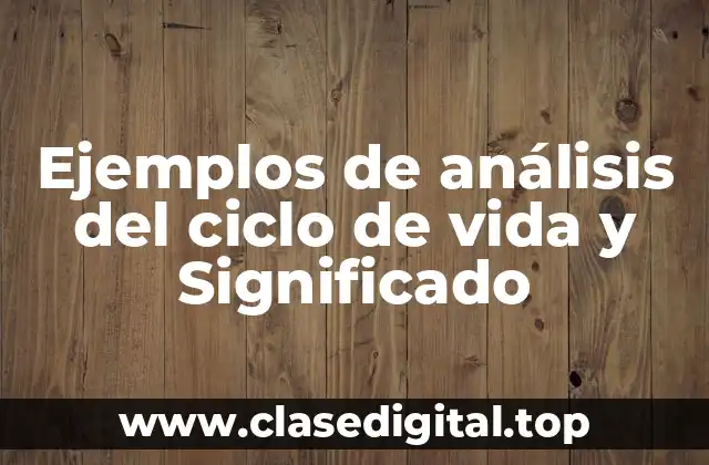 Ejemplos de análisis del ciclo de vida