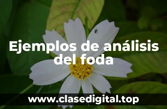 Ejemplos de análisis del foda