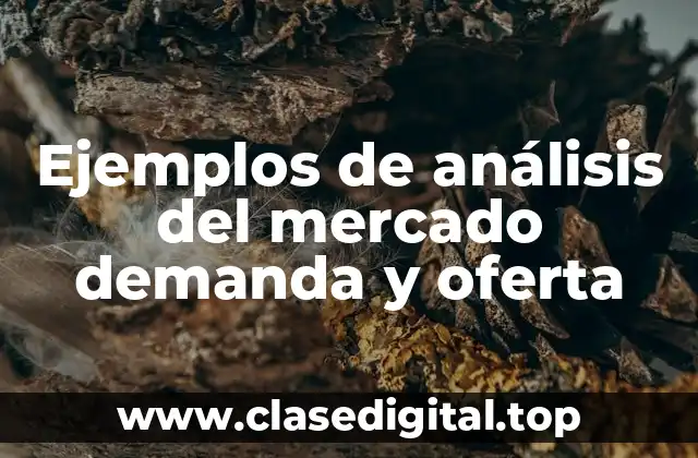 Ejemplos de análisis del mercado demanda y oferta