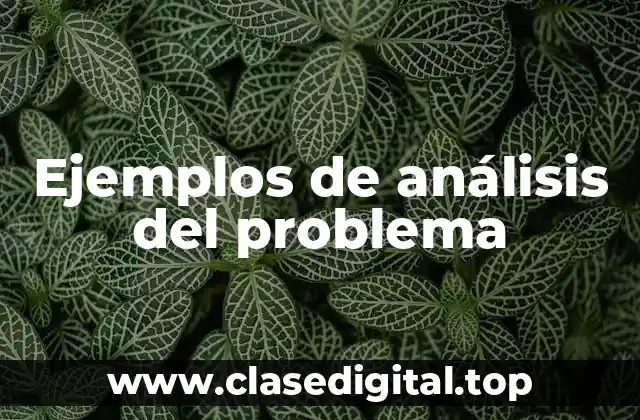 Ejemplos de análisis del problema