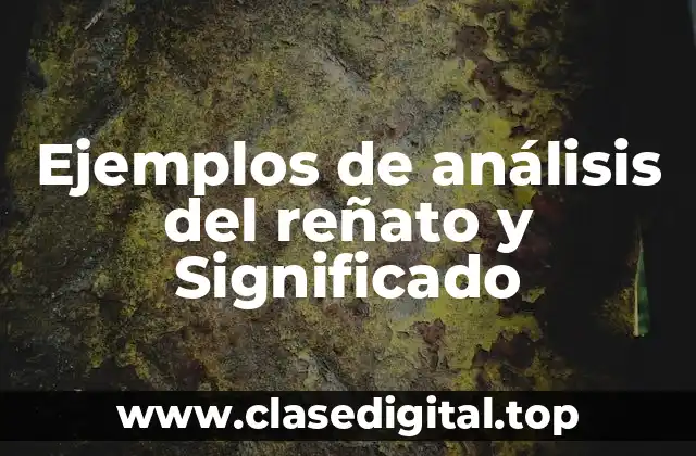 Ejemplos de análisis del reñato y Significado