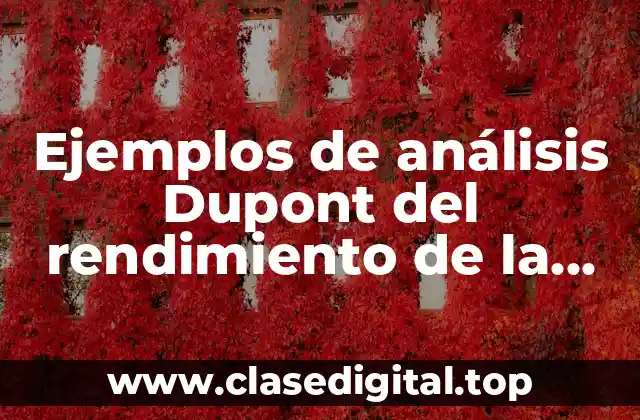 Ejemplos de análisis Dupont del rendimiento de la inversión