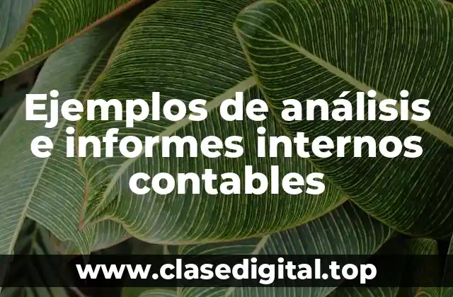 Ejemplos de análisis e informes internos contables