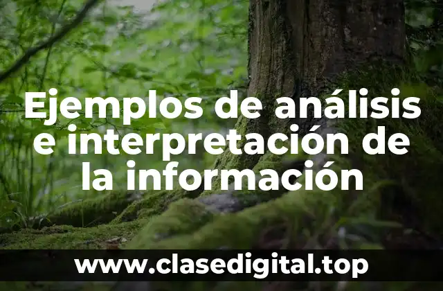 Ejemplos de análisis e interpretación de la información