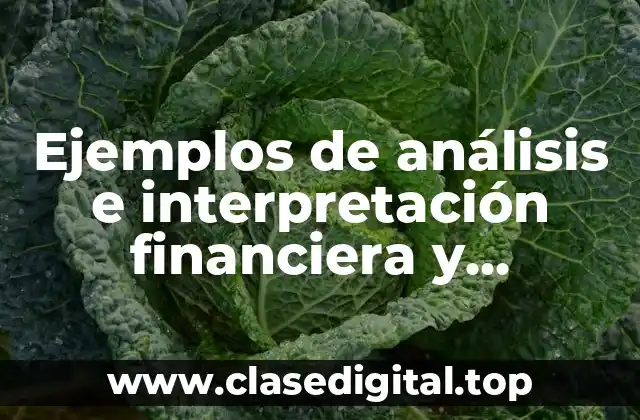 Ejemplos de análisis e interpretación financiera y Significado
