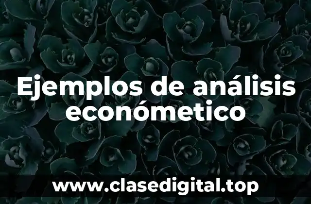 Ejemplos de análisis económetico