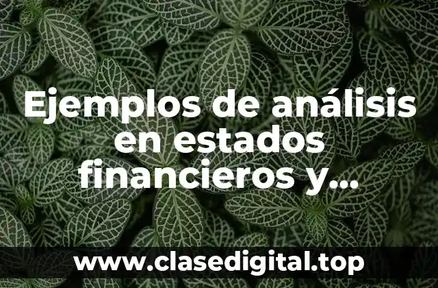 Ejemplos de análisis en estados financieros y Significado
