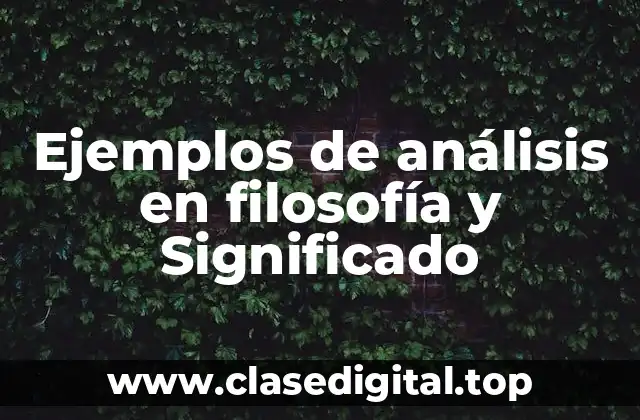 Ejemplos de análisis en filosofía y Significado