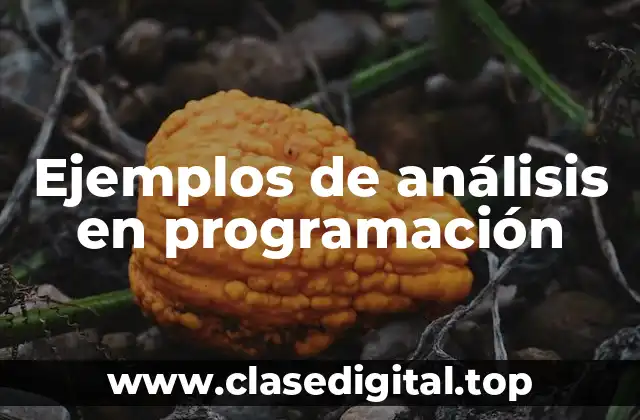 Ejemplos de análisis en programación