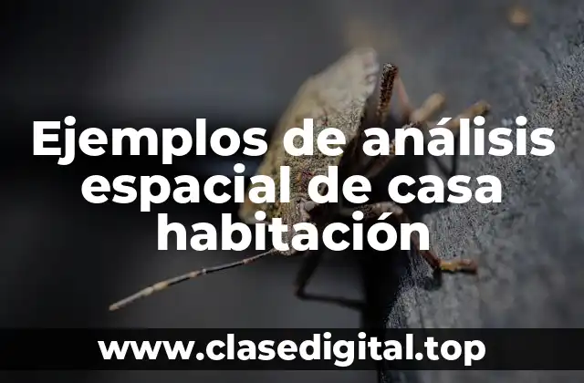 Ejemplos de análisis espacial de casa habitación