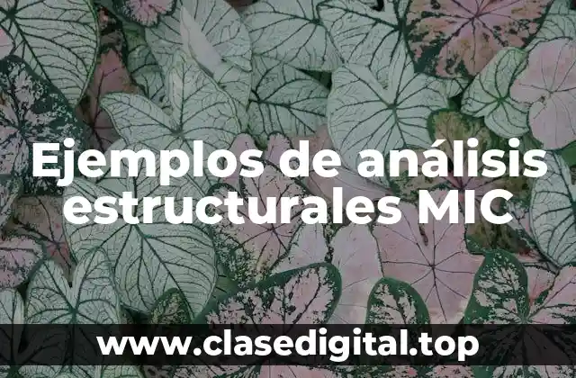 Ejemplos de análisis estructurales MIC