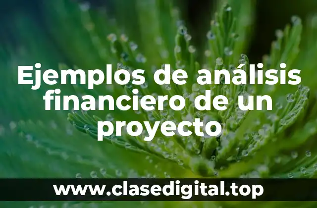 Ejemplos de análisis financiero de un proyecto
