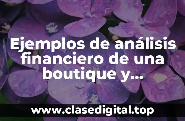 Ejemplos de análisis financiero de una boutique y Significado