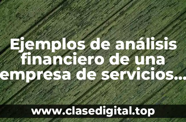 Ejemplos de análisis financiero de una empresa de servicios turísticos