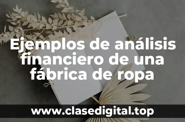 Ejemplos de análisis financiero de una fábrica de ropa