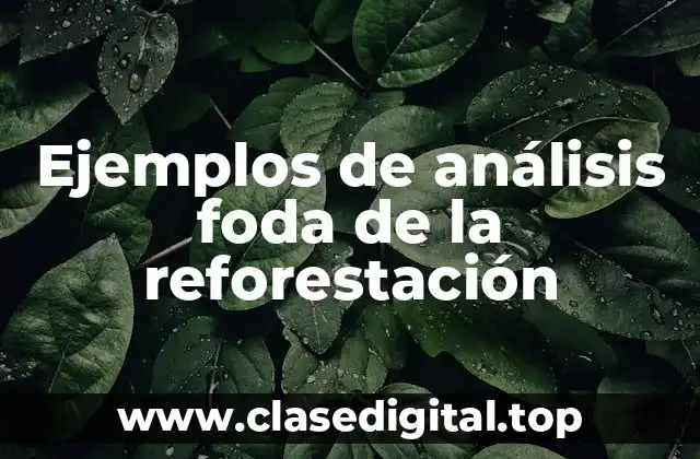 Ejemplos de análisis foda de la reforestación
