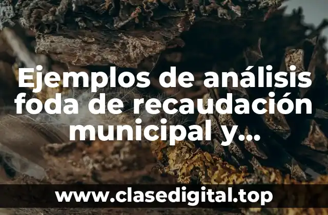 Ejemplos de análisis foda de recaudación municipal y Significado