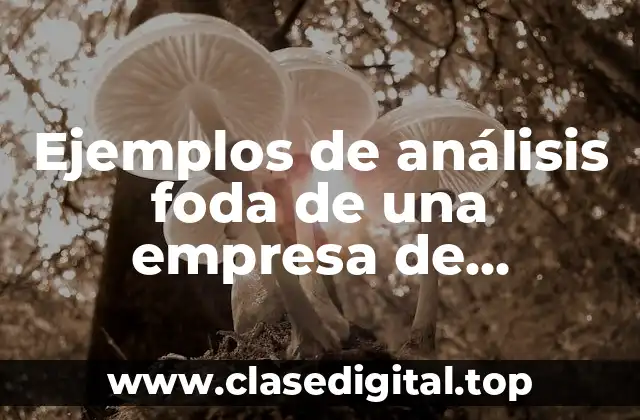 Ejemplos de análisis foda de una empresa de seguridad privada