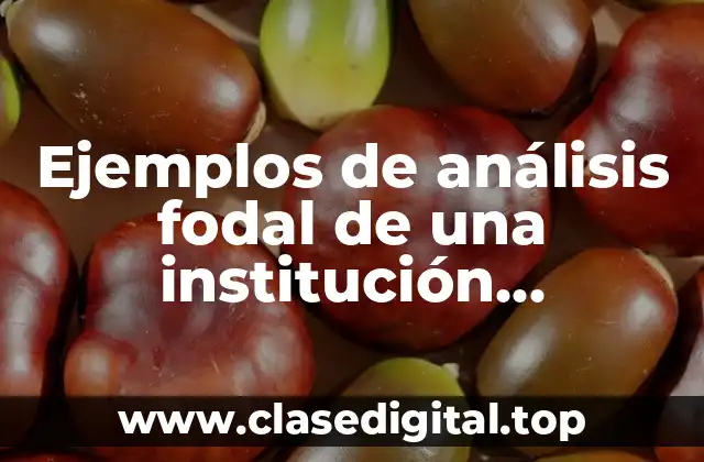 Ejemplos de análisis fodal de una institución educativa