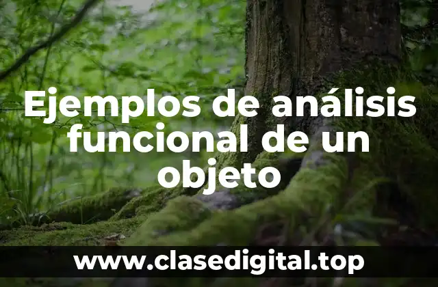 Ejemplos de análisis funcional de un objeto