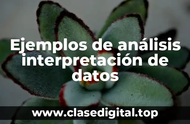 Ejemplos de análisis interpretación de datos