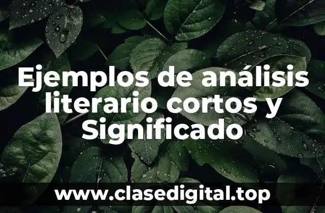 Ejemplos de análisis literario cortos