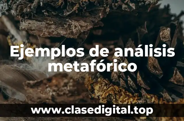 Ejemplos de análisis metafórico