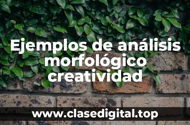 Ejemplos de análisis morfológico creatividad