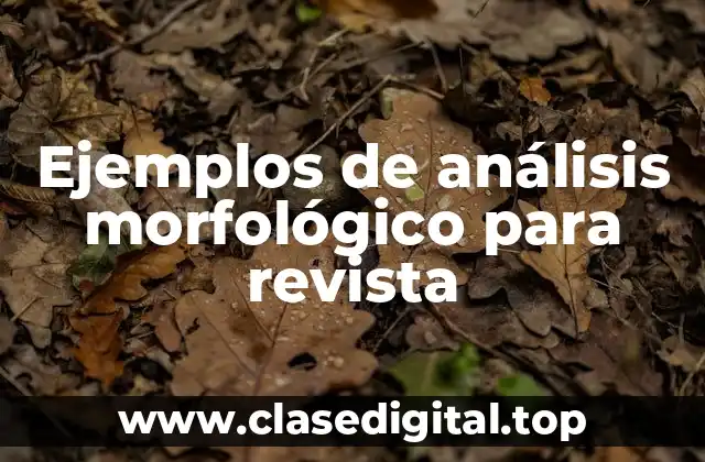 Ejemplos de análisis morfológico para revista