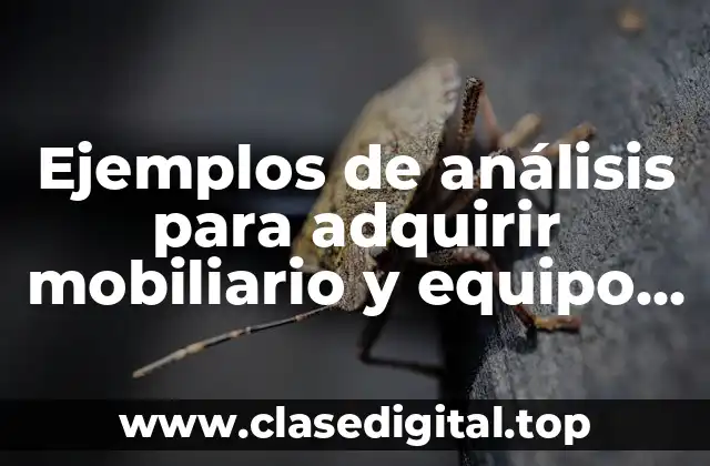 Ejemplos de análisis para adquirir mobiliario y equipo de computo y Significado