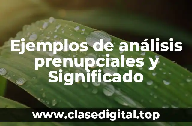 Ejemplos de análisis prenupciales y Significado