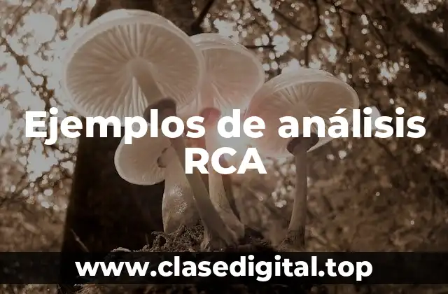 Ejemplos de análisis RCA