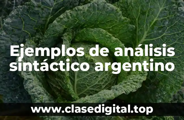 Ejemplos de análisis sintáctico argentino