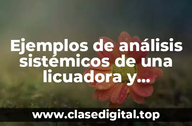 Ejemplos de análisis sistémicos de una licuadora y Significado