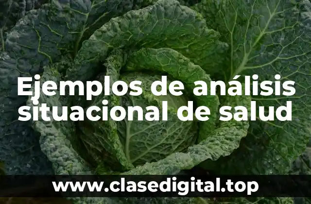 Ejemplos de análisis situacional de salud