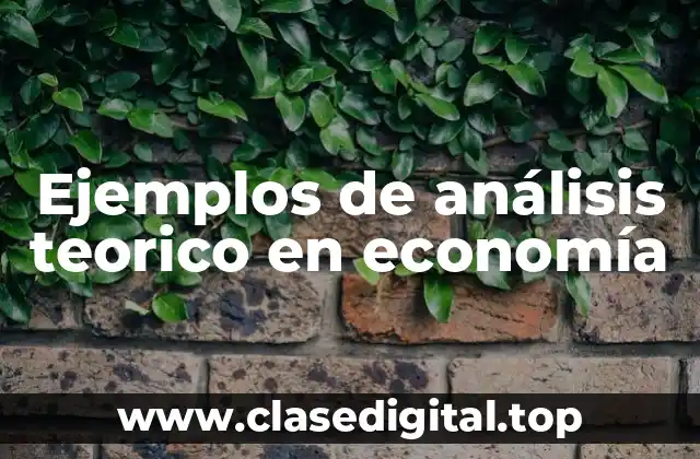 Ejemplos de análisis teorico en economía