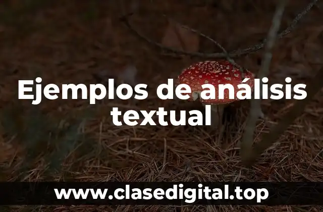 Ejemplos de análisis textual