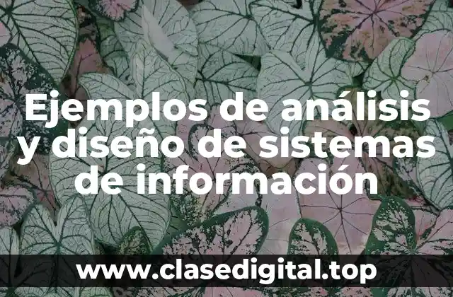 Ejemplos de análisis y diseño de sistemas de información