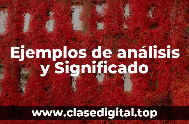 Ejemplos de análisis y Significado