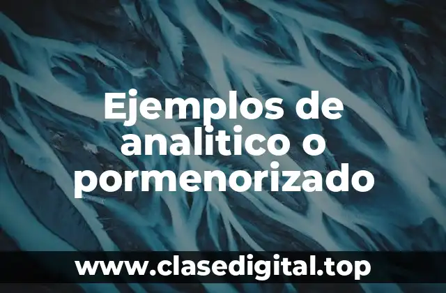 Ejemplos de analitico o pormenorizado