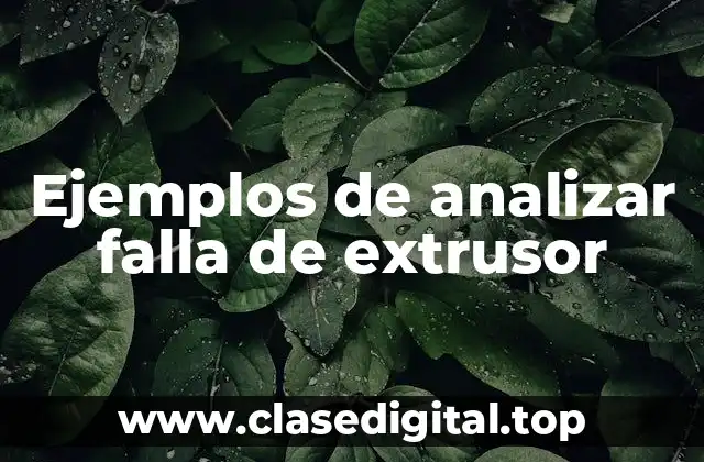 Ejemplos de analizar falla de extrusor