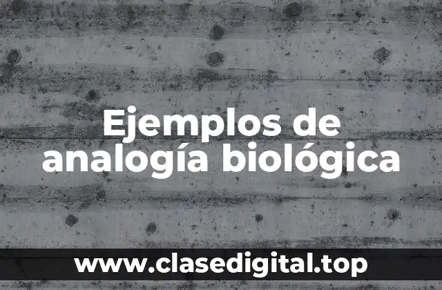 Ejemplos de analogía biológica
