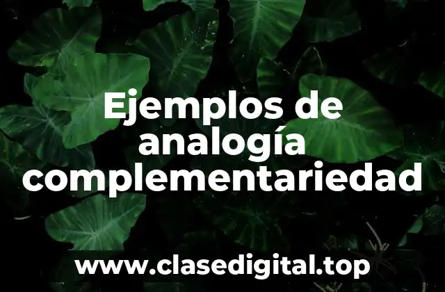 Ejemplos de analogía complementariedad