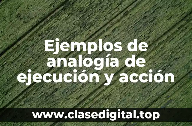 Ejemplos de analogía de ejecución y acción