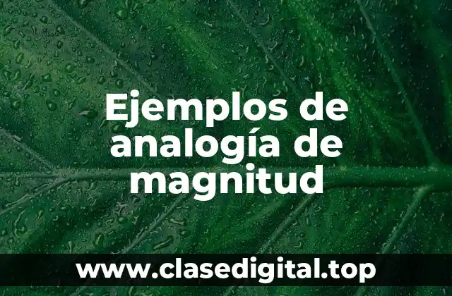 Ejemplos de analogía de magnitud