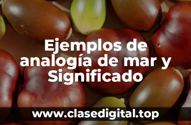 Ejemplos de analogía de mar y Significado