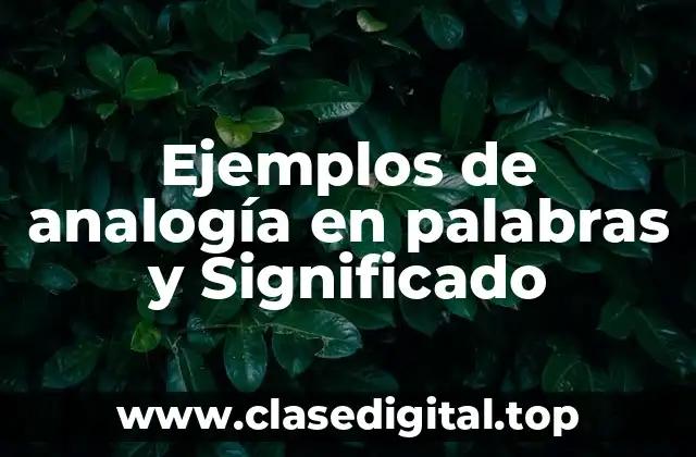 Ejemplos de analogía en palabras y Significado