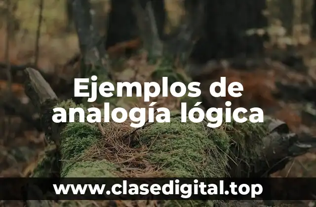 Ejemplos de analogía lógica