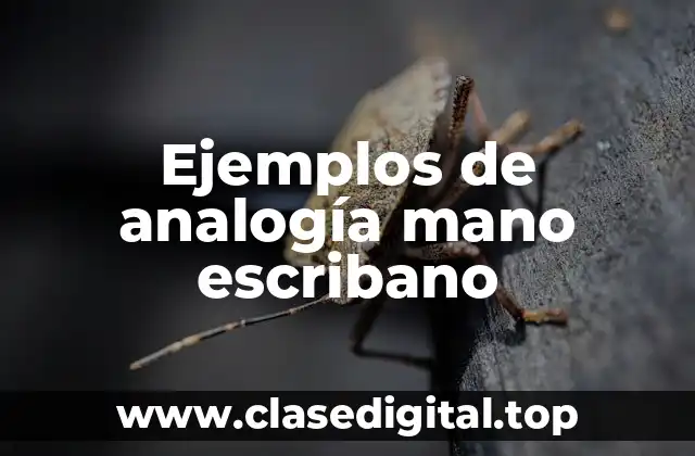 Ejemplos de analogía mano escribano